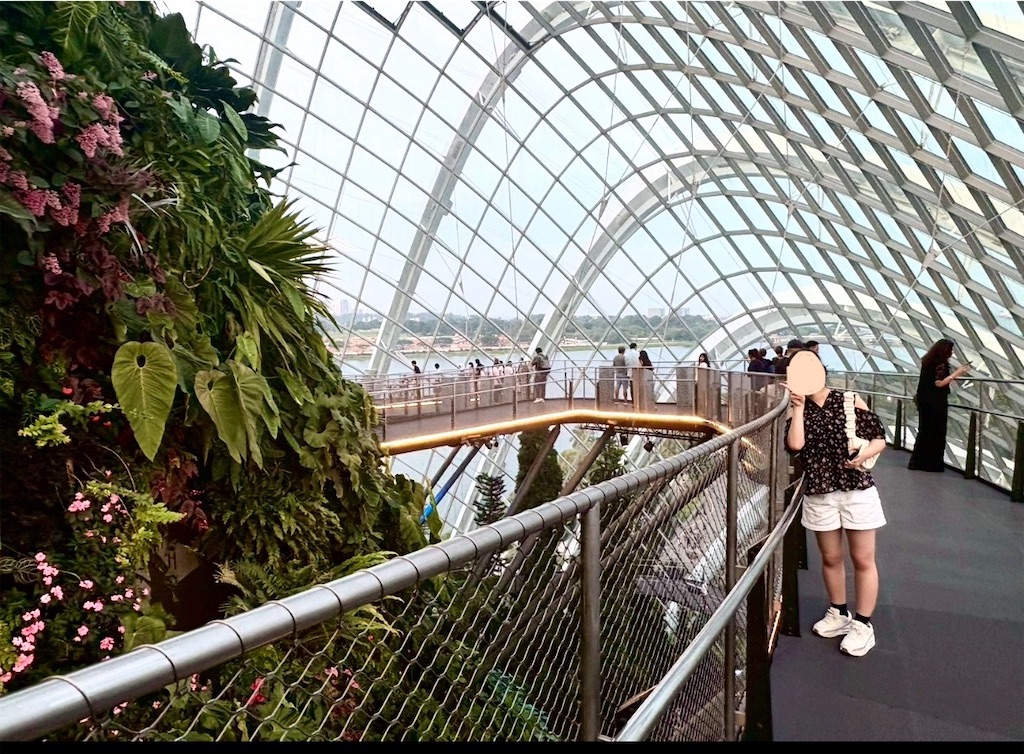 f:id:shingosfc:20250914221815j:image