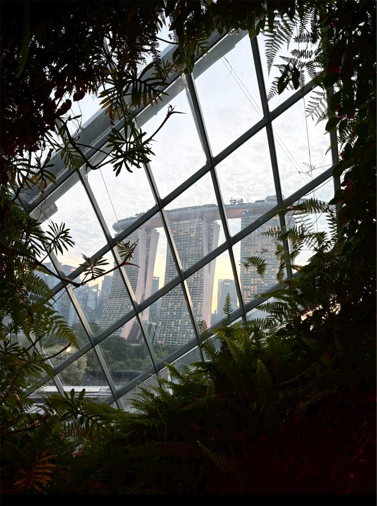 f:id:shingosfc:20250914222008j:image