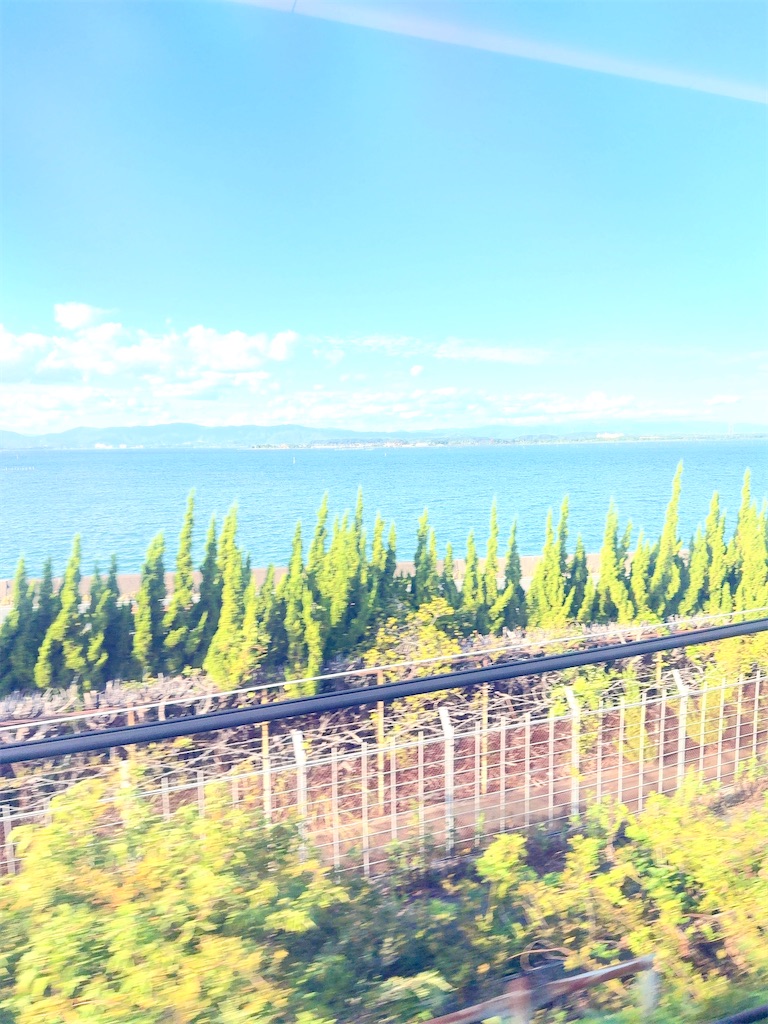 f:id:shingosfc:20250929161113j:image