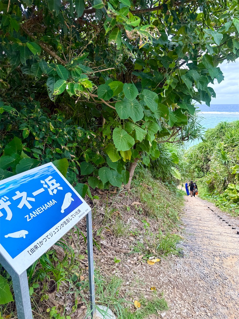 f:id:shingosfc:20251109225202j:image