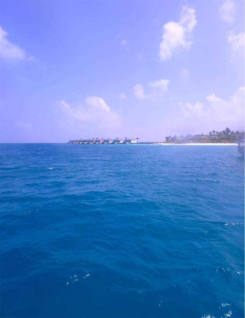 f:id:shingosfc:20260208015505j:image