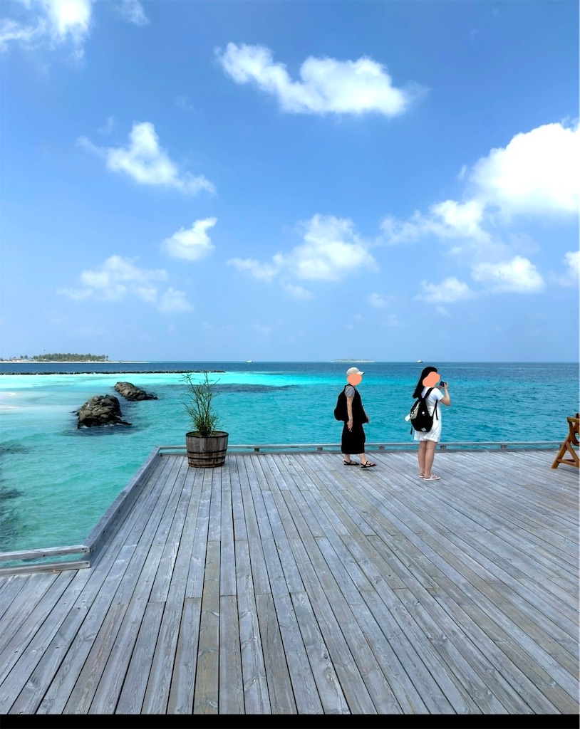 f:id:shingosfc:20260212224603j:image f:id:shingosfc:20260212224603j:image
