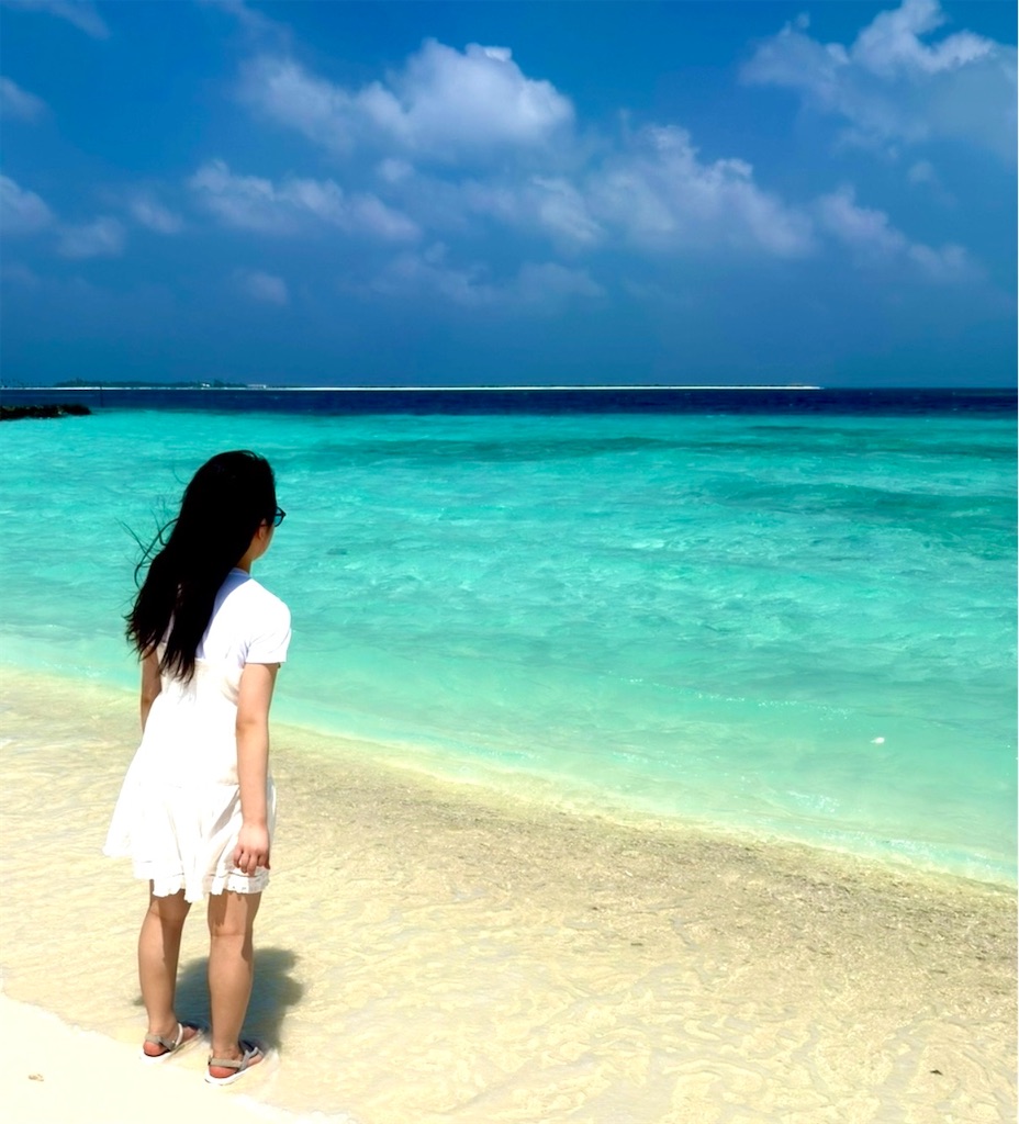 f:id:shingosfc:20260212224844j:image f:id:shingosfc:20260212224844j:image