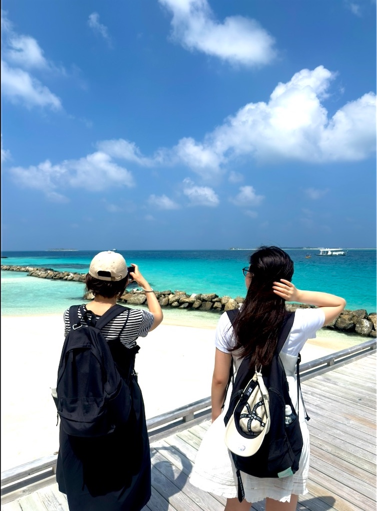 f:id:shingosfc:20260213224833j:image f:id:shingosfc:20260213224833j:image