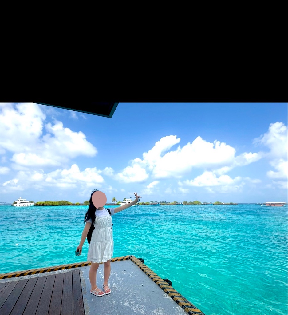 f:id:shingosfc:20260214233909j:image