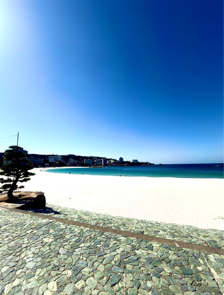 f:id:shingosfc:20260320205137j:image