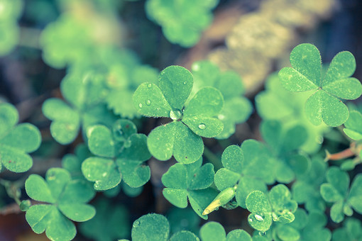 f:id:shinigami5sei:20190713001419j:plain