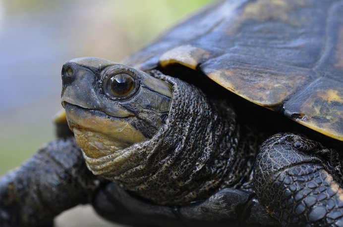 f:id:shinigami5sei:20190801003400j:plain