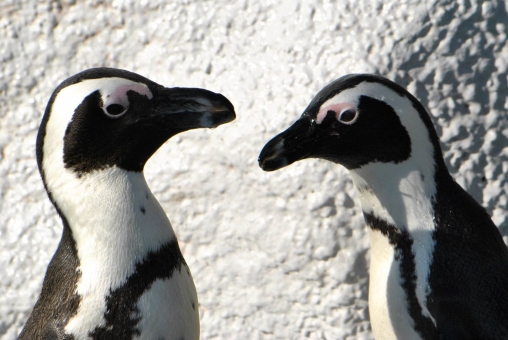 f:id:shinigami5sei:20190819082156j:plain