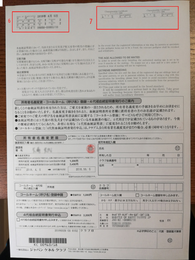血統書の見方 Shinji629のブログ 血統書の見方 Shinji629のブログ
