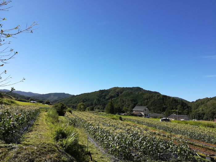 f:id:shinji629:20180731235523j:plain f:id:shinji629:20180731235523j:plain