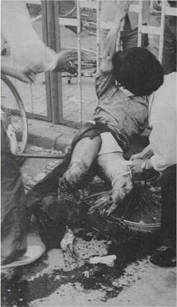 f:id:shinjihi:20170609003743j:image