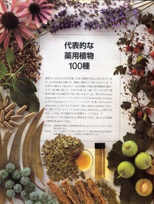 f:id:shinju-oonuki:20081027170152j:image