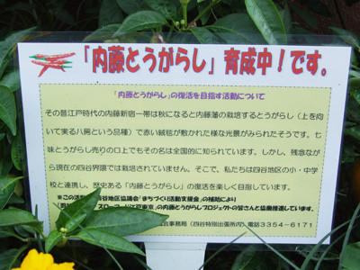 f:id:shinju-oonuki:20101108133727j:image f:id:shinju-oonuki:20101108133727j:image