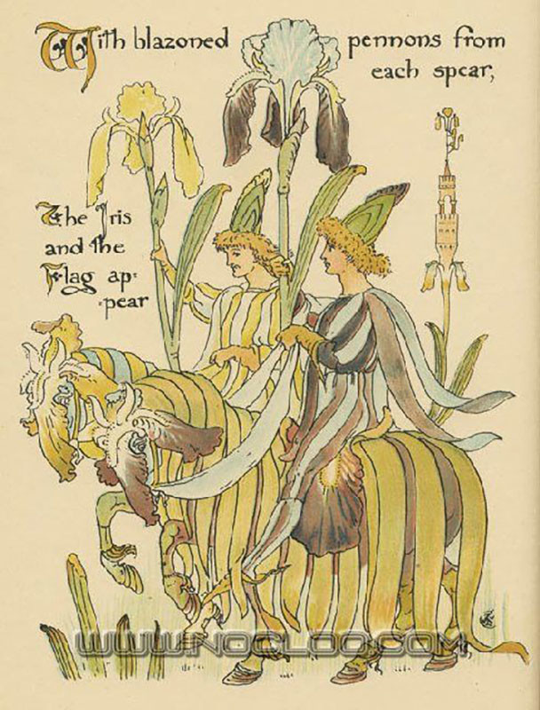 f:id:shinju-oonuki:20200319141140j:plain