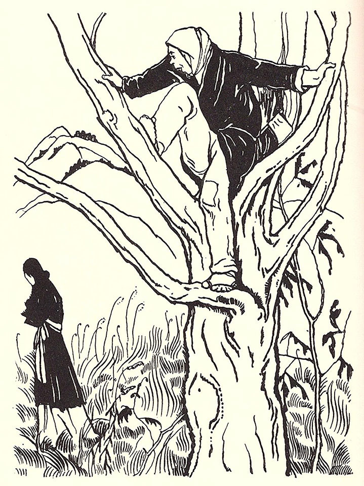 f:id:shinju-oonuki:20200702132421j:plain