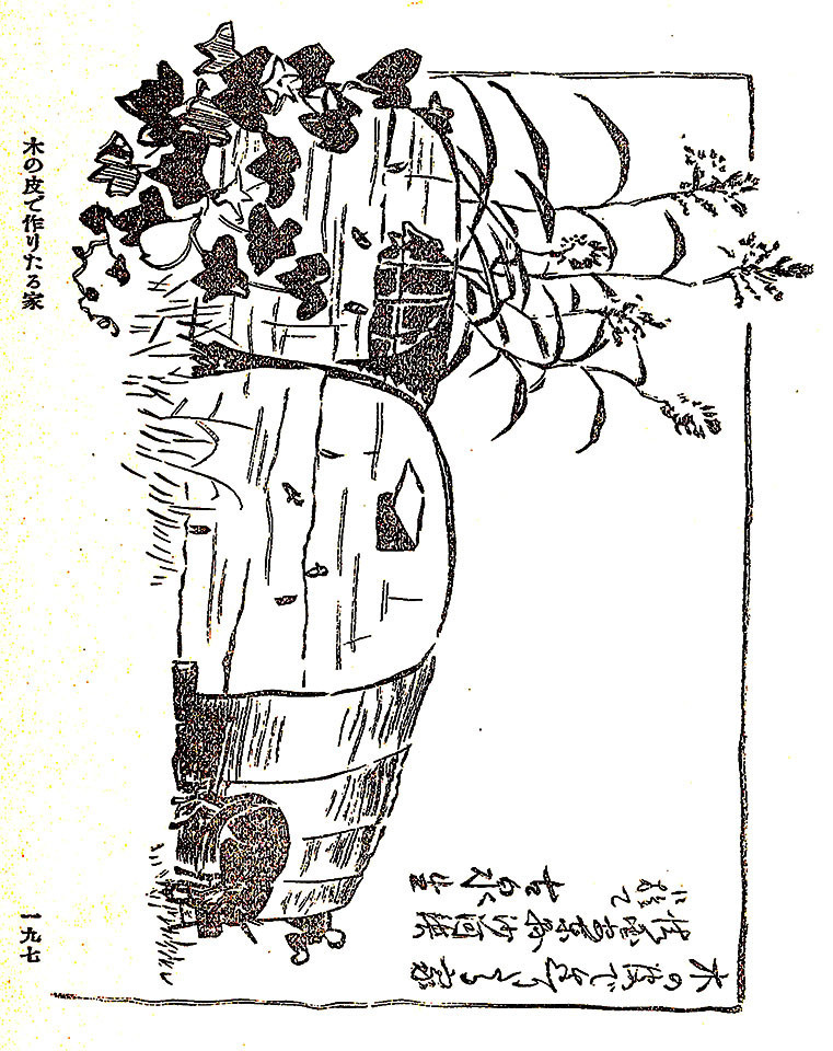 f:id:shinju-oonuki:20200716135338j:plain f:id:shinju-oonuki:20200716135338j:plain