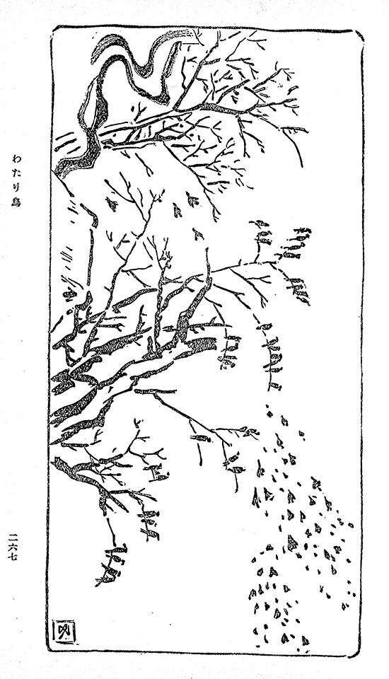 f:id:shinju-oonuki:20200716140539j:plain f:id:shinju-oonuki:20200716140539j:plain
