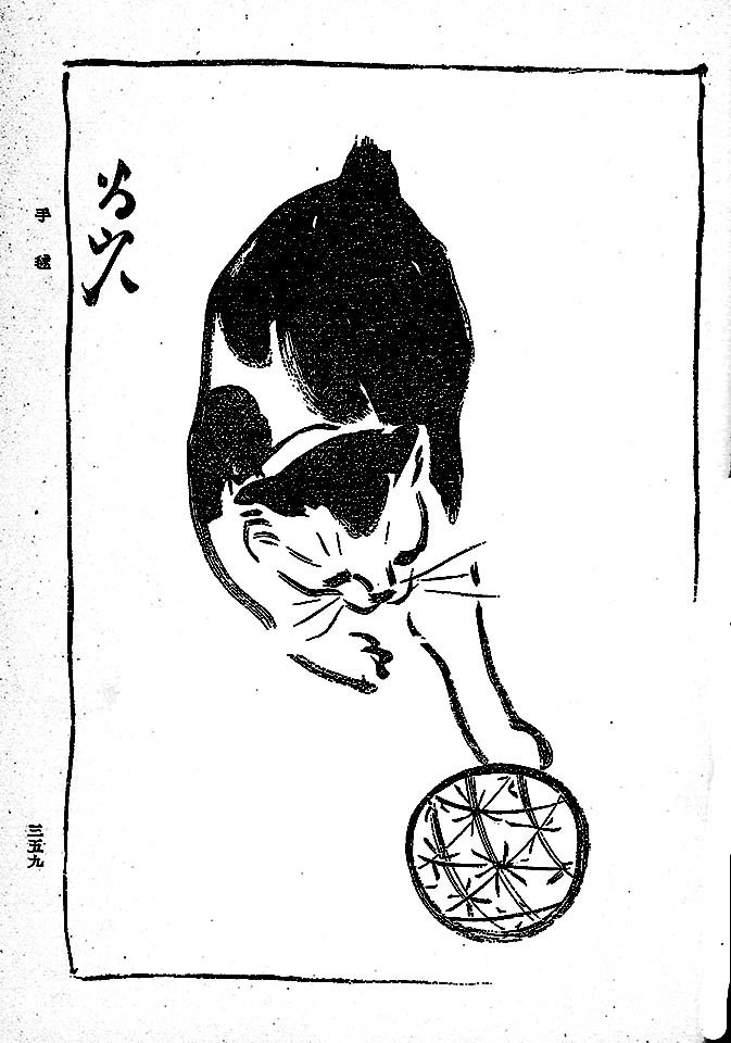 f:id:shinju-oonuki:20200731194815j:plain