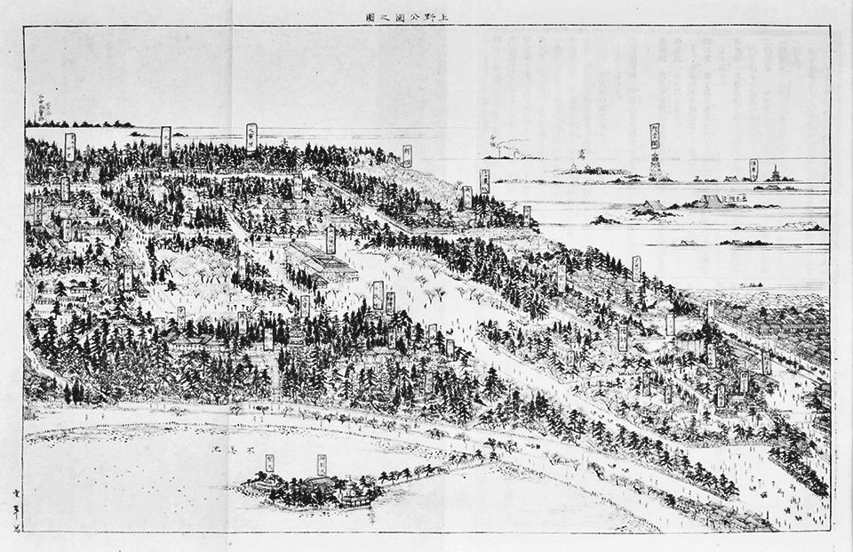 f:id:shinju-oonuki:20210127113141j:plain