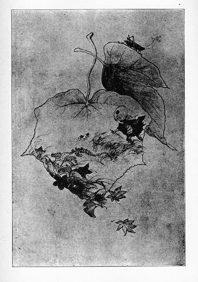 f:id:shinju-oonuki:20210714130056j:plain