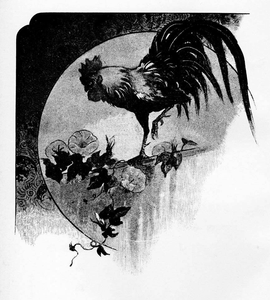 f:id:shinju-oonuki:20210714130308j:plain