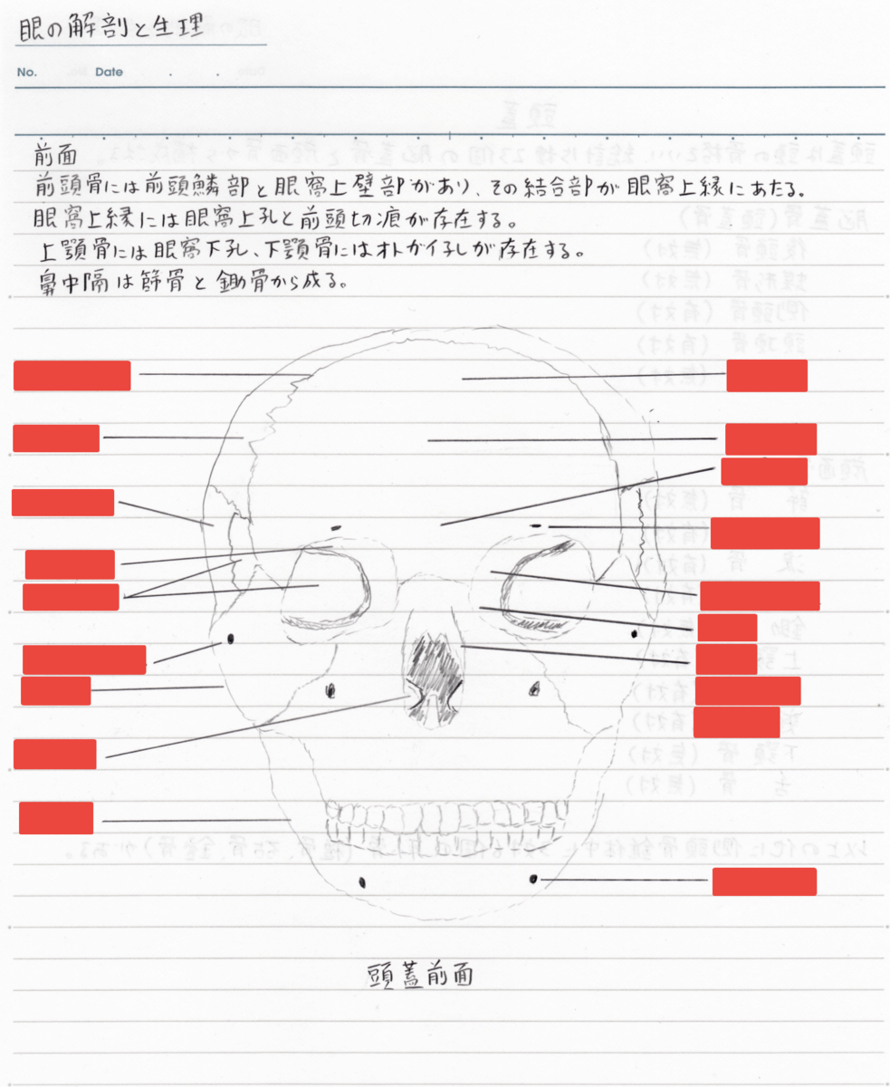 f:id:shinjyojimichiru:20190904213856p:plain