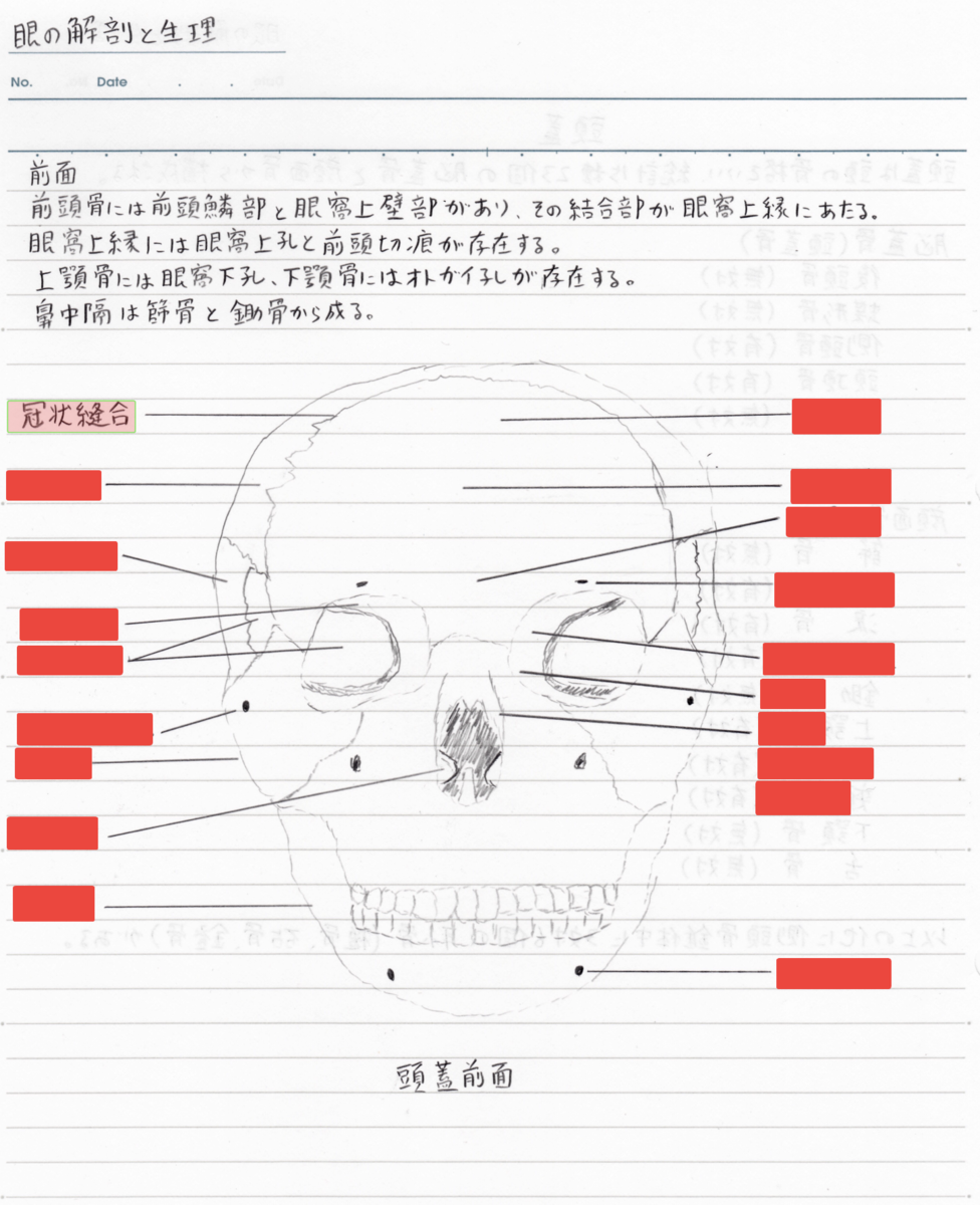 f:id:shinjyojimichiru:20190904213949p:plain