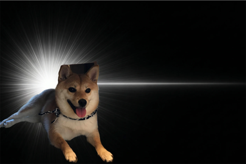 f:id:shinkai018-713am2:20260430184458p:image f:id:shinkai018-713am2:20260430184458p:image