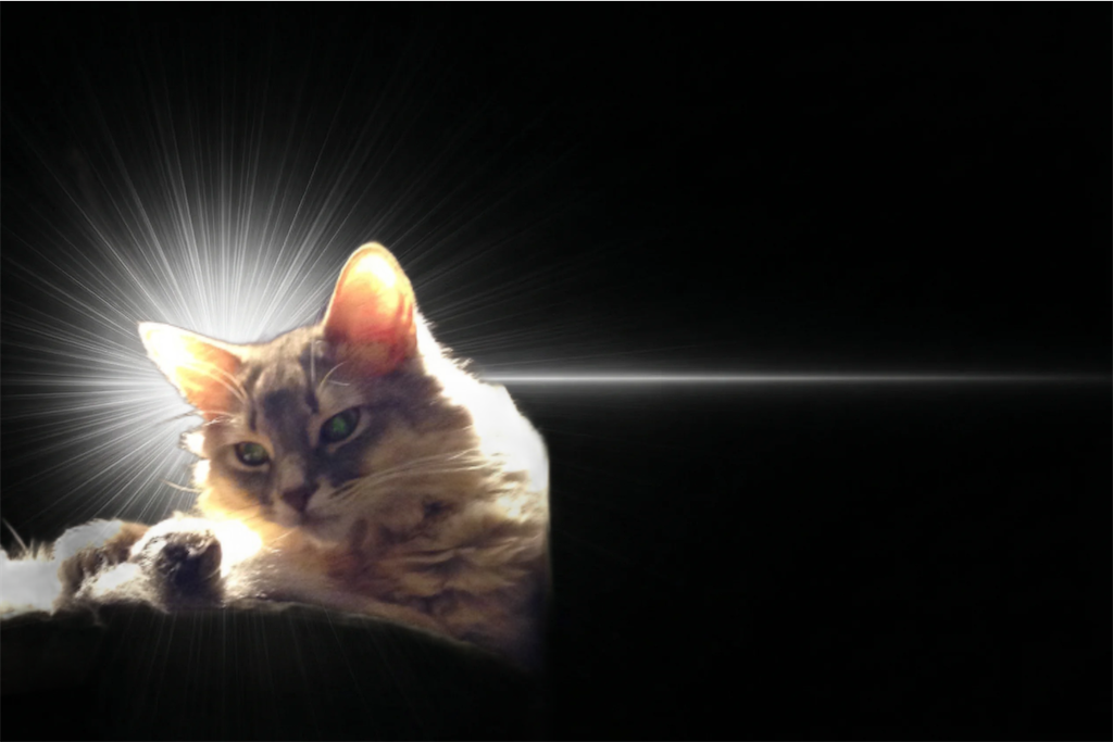 f:id:shinkai018-713am2:20260430184525p:image f:id:shinkai018-713am2:20260430184525p:image