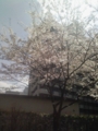 [花]