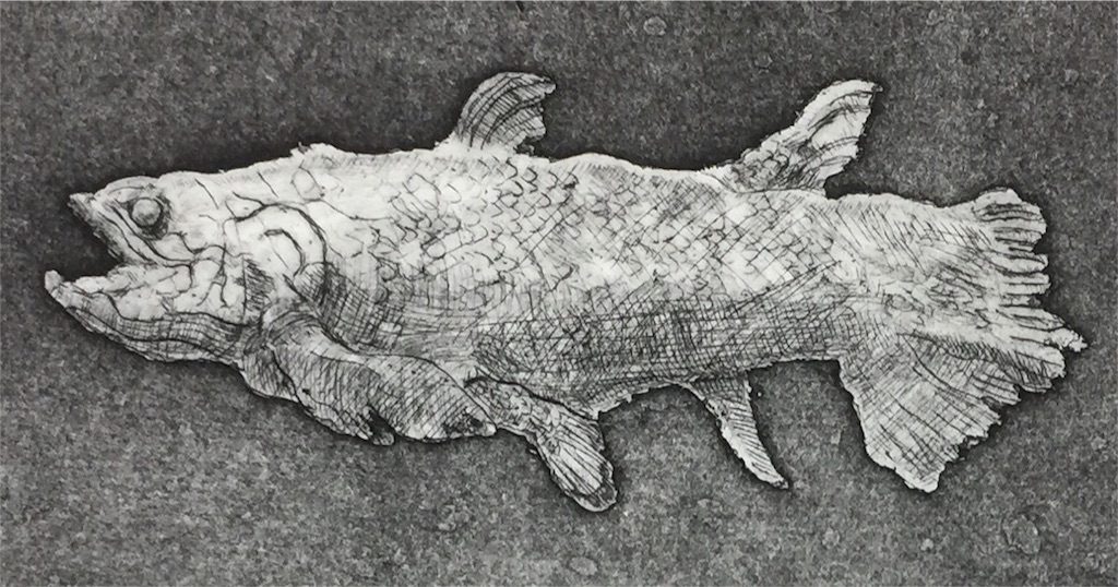 僕らの祖先、シーラカンスの銅版画 - 深海絵画展