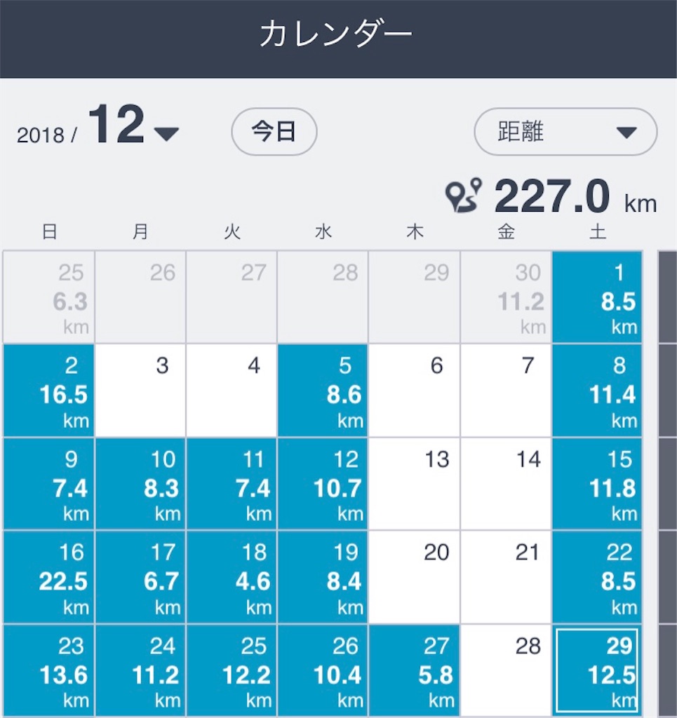 f:id:shinkana11:20181231162436j:image