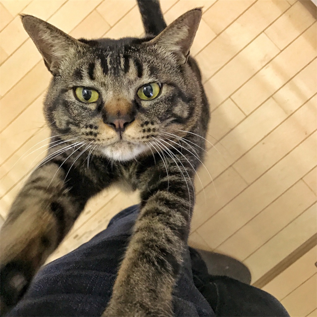 f:id:shinke1975:20170211214656j:image