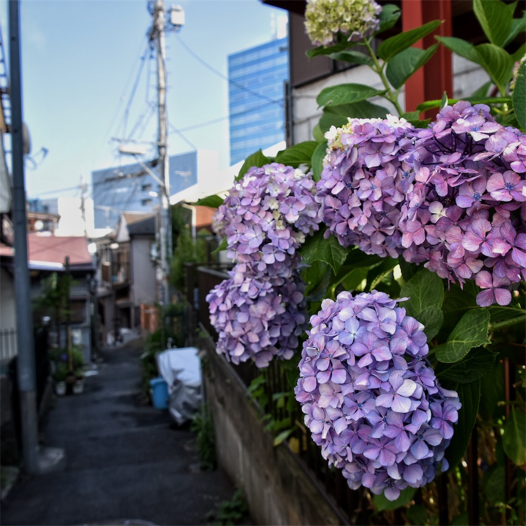 f:id:shinke1975:20170621145258j:image