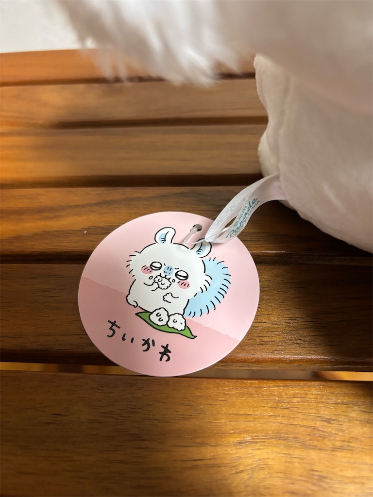f:id:shinkei6710:20250621202758j:image