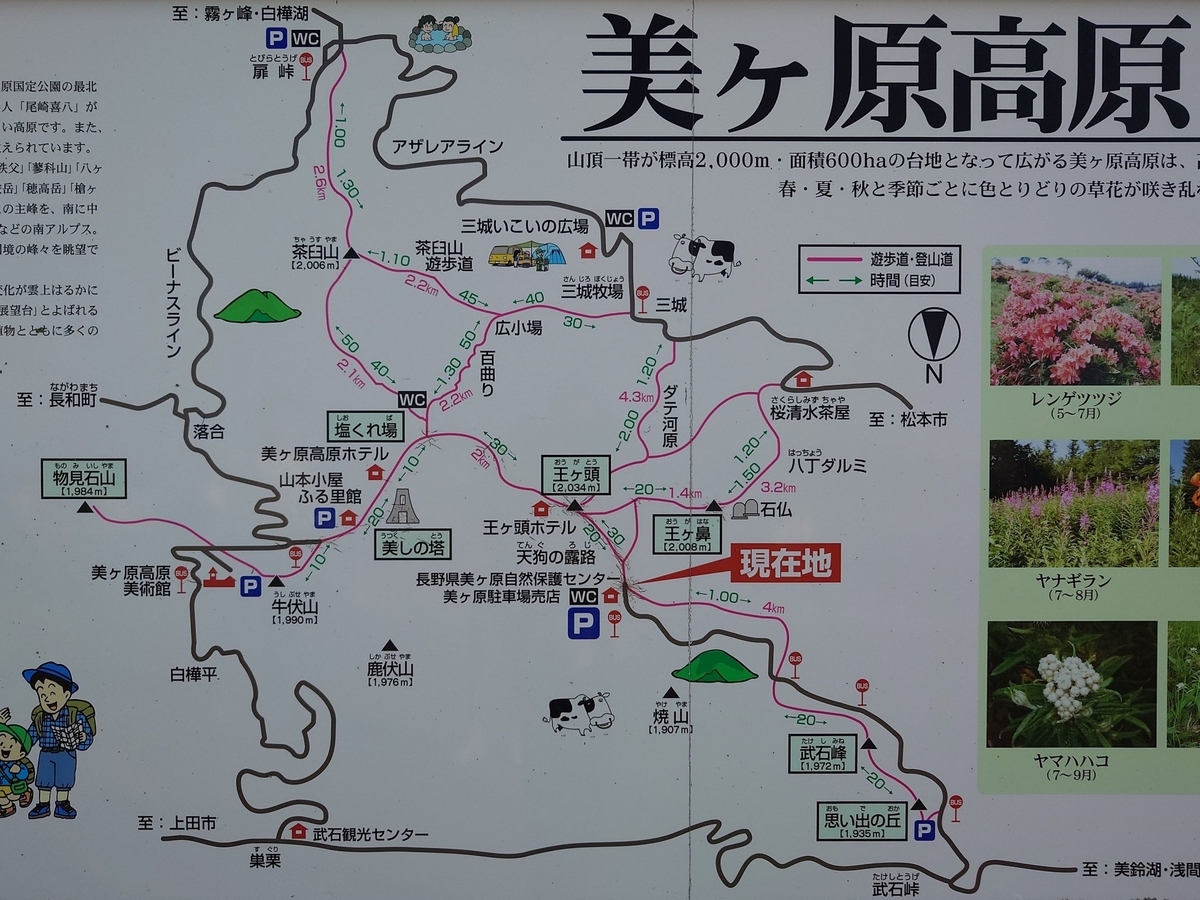 活動歴および当時の関連ビジュアル記録