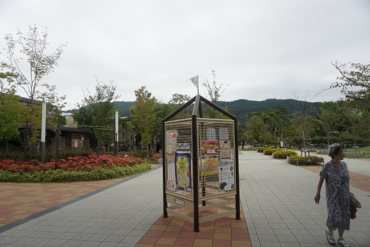 f:id:shinmaipapa2020:20200830083953j:plain