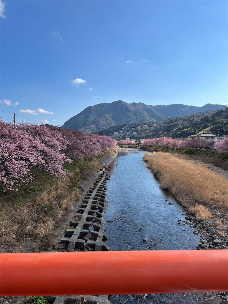 f:id:shinmaishufu:20240213100615j:image f:id:shinmaishufu:20240213100615j:image