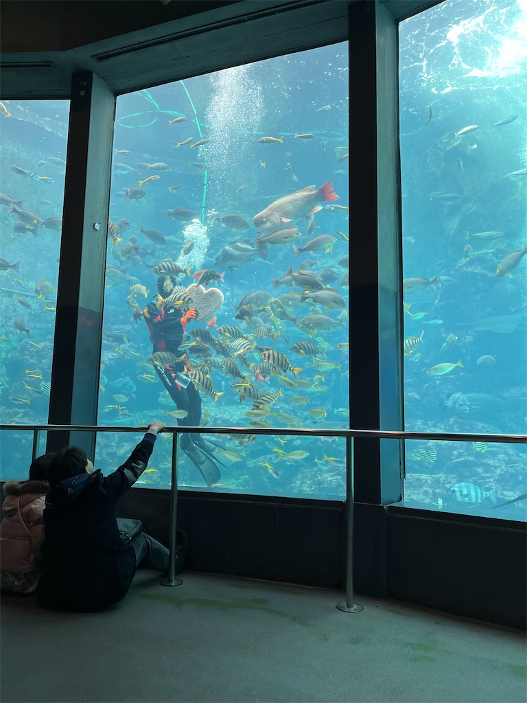 f:id:shinmaishufu:20240213103133j:image f:id:shinmaishufu:20240213103133j:image