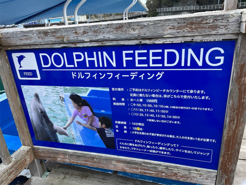 f:id:shinmaishufu:20240213103136j:image f:id:shinmaishufu:20240213103136j:image