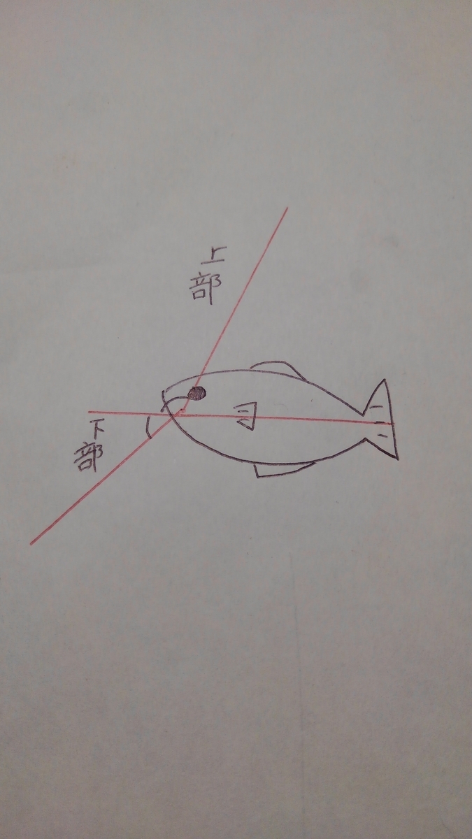 f:id:shinnmablog:20190517212006j:plain f:id:shinnmablog:20190517212006j:plain
