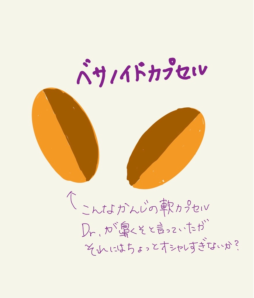 f:id:shinnosuzu:20210528160724j:image