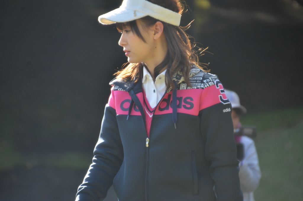 f:id:shino-eco:20161109220919j:plain f:id:shino-eco:20161109220919j:plain