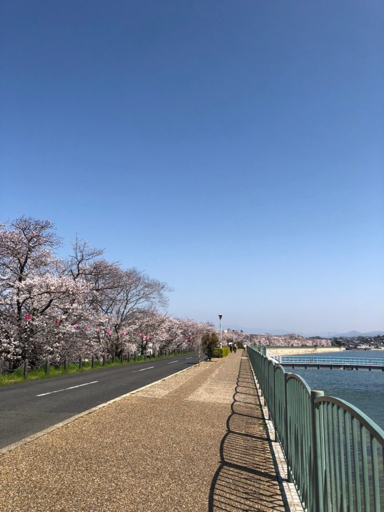 f:id:shino-yok:20180328134943j:plain f:id:shino-yok:20180328134943j:plain