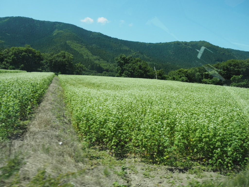 f:id:shino222:20180206214905j:plain f:id:shino222:20180206214905j:plain