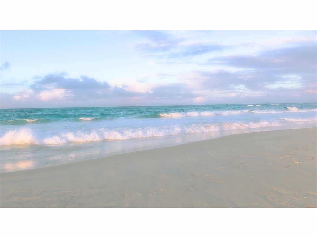 f:id:shino24aus:20180907103534j:image f:id:shino24aus:20180907103534j:image