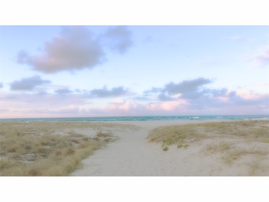 f:id:shino24aus:20180907124708j:image f:id:shino24aus:20180907124708j:image