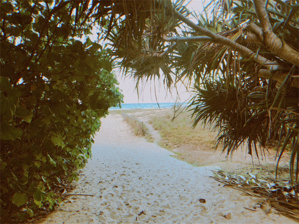 f:id:shino24aus:20180907153039j:image f:id:shino24aus:20180907153039j:image