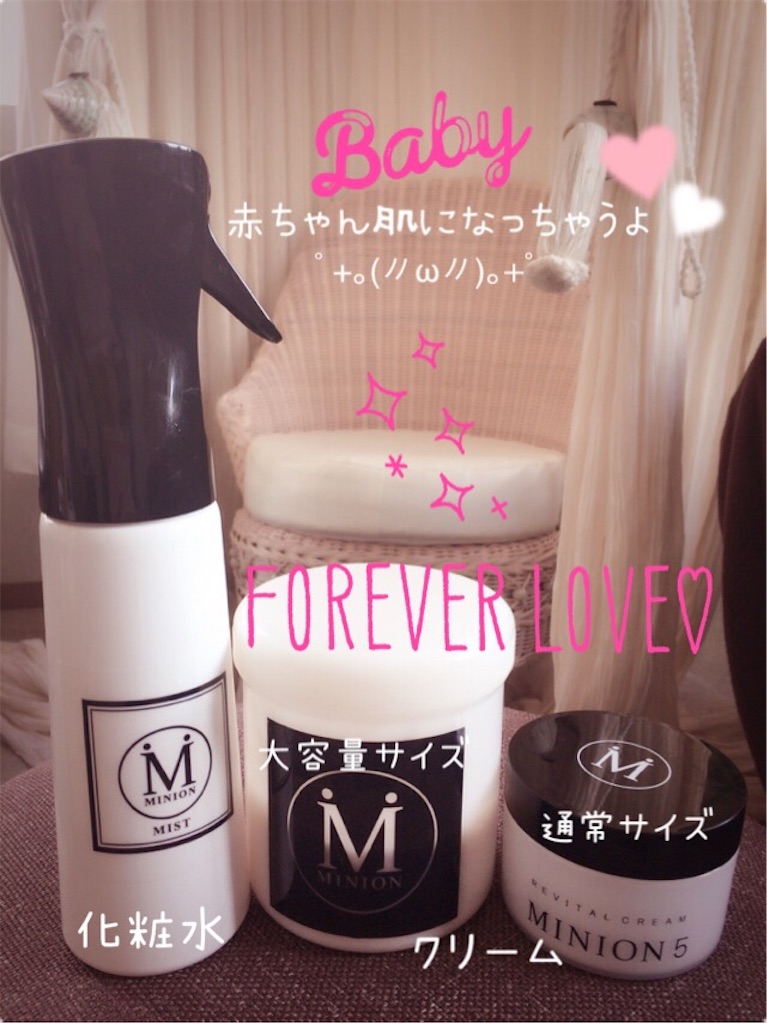 f:id:shino24aus:20190103113452j:image